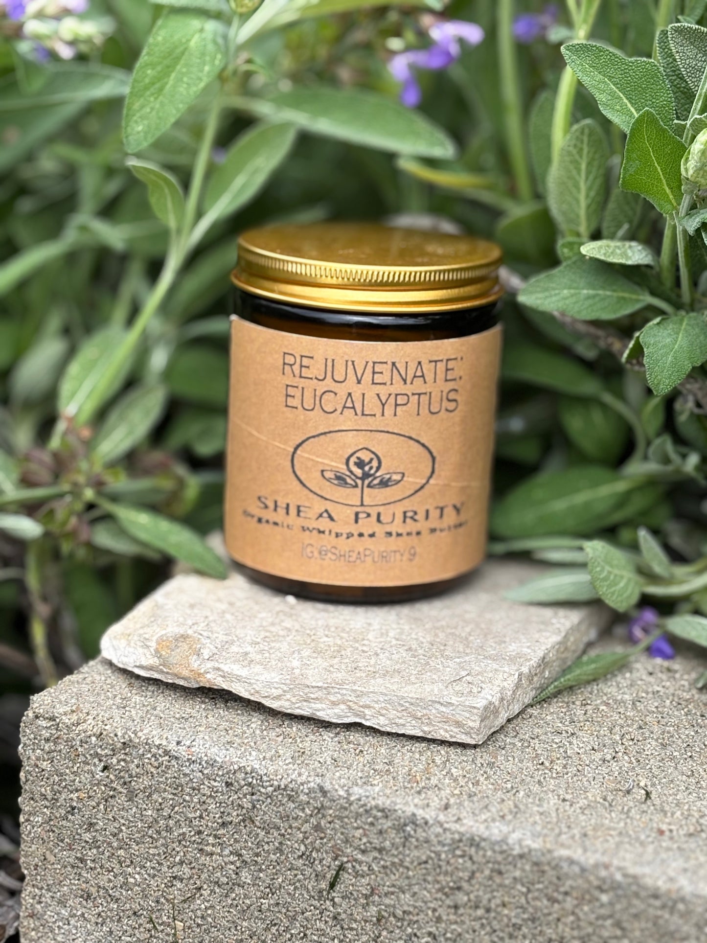 Whipped Shea Butter- Eucalyptus
